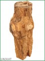 Versteinertes Holz - Holzstamm versteinert